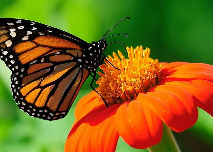 アストラ ホテル